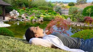 Cedar enzyme bath treatment